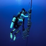 Scienziati chiedono regole etiche per la ricerca sulla comunicazione animale con l’IA.