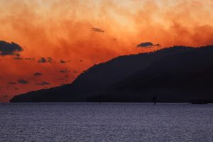 Australia adopera la “diradazione forestale” per ridurre il rischio incendi. Efficace?
