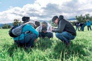 Dalla chimica alla rigenerazione: la nuova trasformazione dell’agricoltura è iniziata.