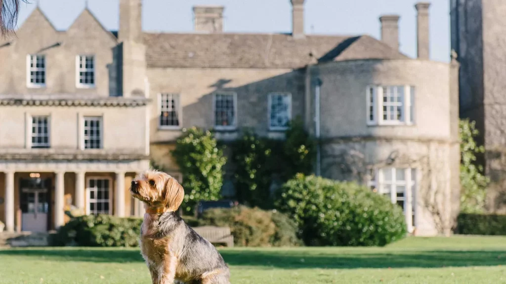 I 21 migliori hotel pet-friendly nel Regno Unito per una vacanza con il tuo cane.