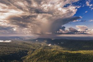 L’esportazione più preziosa dell’Amazzonia? Non è il legno, ma l’acqua piovana.