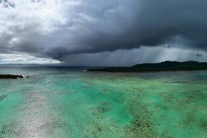 Chi legge il giornalismo ambientale e perché è fondamentale per il nostro futuro