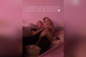 Cane appena adottato torna a casa: il gesto commovente che sorprende dopo due ore.