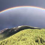 Conservazione del paesaggio: la visione centenaria di Gary Tabor per il futuro della natura.