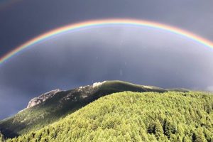 Conservazione del paesaggio: la visione centenaria di Gary Tabor per il futuro della natura.