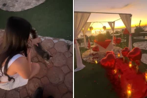 Donna accarezza un gatto randagio, ignara del pericolo che si cela dietro di lei.