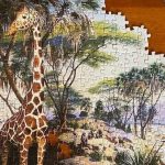 I programmi di conservazione devono integrare prove causali per valutare l’impatto.