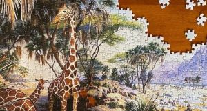 I programmi di conservazione devono integrare prove causali per valutare l’impatto.