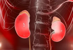 DHEA: usi principali, livelli normali e rischi potenziali da conoscere