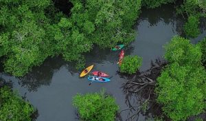 ONG di Panama in causa: bloccano costruzione del porto con sequestri di beni.