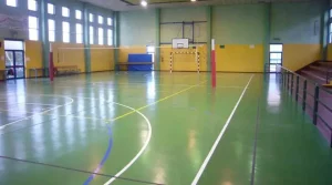 Palestre scolastiche a Roma: ANP Lazio denuncia l’invasione di campo da parte dei Municipi.