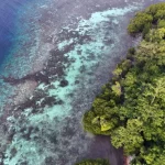 Valorizzare la biodiversità: un’opportunità per le imprese e un futuro sostenibile