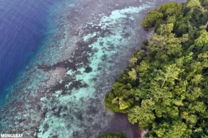 Valorizzare la biodiversità: un’opportunità per le imprese e un futuro sostenibile