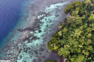 La biodiversità: un valore strategico per il business e la sostenibilità futura.