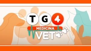 Su Retequattro nasce TG4 Medicina VET, la rubrica veterinaria con Elisa Triani