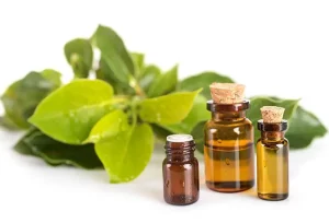 Camphor: 7 Benefici Sorprendenti e Usi Essenziali per Salute e Benessere