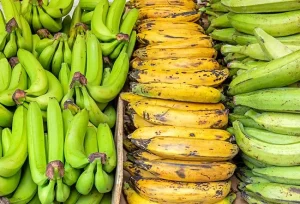 Differenze chiave tra banana e platano: aspetto, sapore e utilizzo in cucina