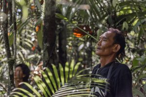 Popoli indigeni in Asia esclusi dalla pianificazione biodiversità: un rapporto allarmante.
