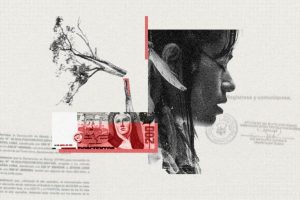 In Perù, l’indebolimento della gestione forestale favorisce l’emergere di ‘permessi fantasma’.