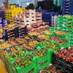 Record storico export agroalimentare Ue 2025: 238,4 miliardi di euro raggiunti