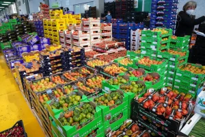 Record storico export agroalimentare Ue 2025: 238,4 miliardi di euro raggiunti
