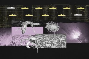 La flotta mineraria sottomarina cinese potrebbe monitorare i sottomarini statunitensi.