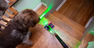 Offerta imperdibile: il PencilVac Fluffycones di Dyson a soli 150 dollari di sconto!