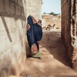 Conservazione a rischio: le conseguenze della chiusura di USAID un anno dopo.