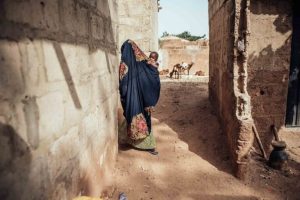 Conservazione a rischio: le conseguenze della chiusura di USAID un anno dopo.