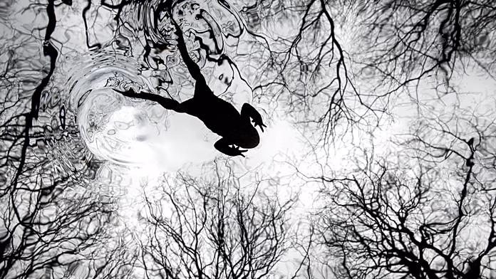 Vincitori dei British Wildlife Photography Awards: scopri i momenti rari immortalati nella natura.