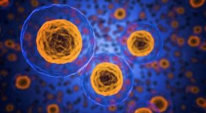 Scoperta rivoluzionaria: studio all’avanguardia cambia il panorama della ricerca scientifica.