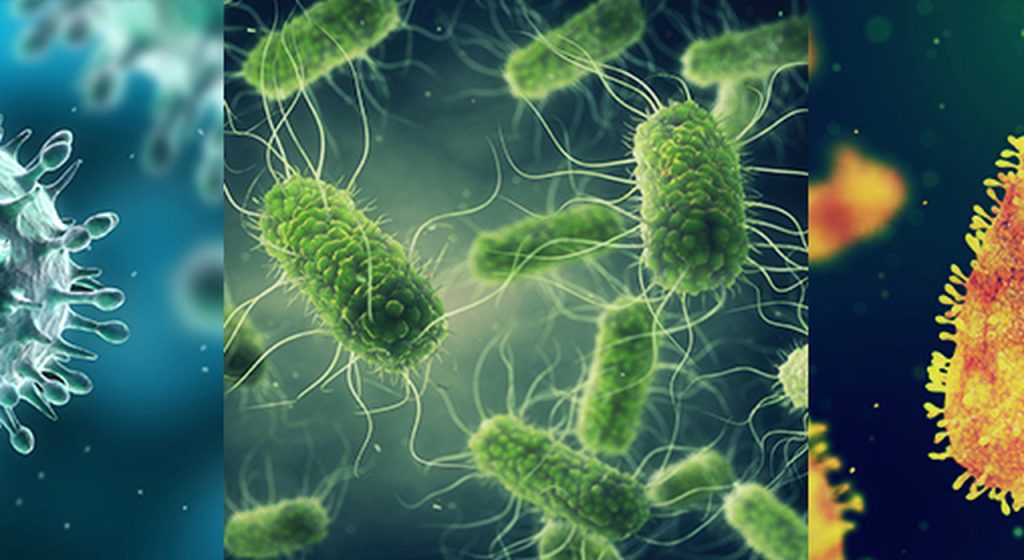 Riscoperta delle malattie dimenticate: ecco le 5 che preoccupano di nuovo oggi.