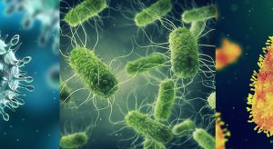 Riscoperta delle malattie dimenticate: ecco le 5 che preoccupano di nuovo oggi.