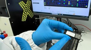 Allergie a Roma: triplicano a causa dell’ambrosia, il nuovo allerta per la salute.