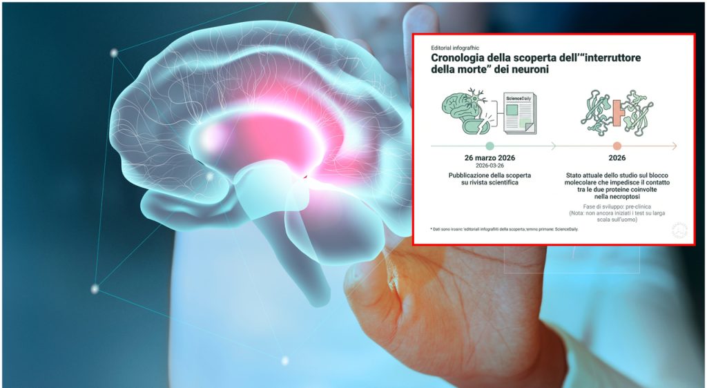 Interruttore innovativo: combatti le malattie con questa nuova tecnologia rivoluzionaria!