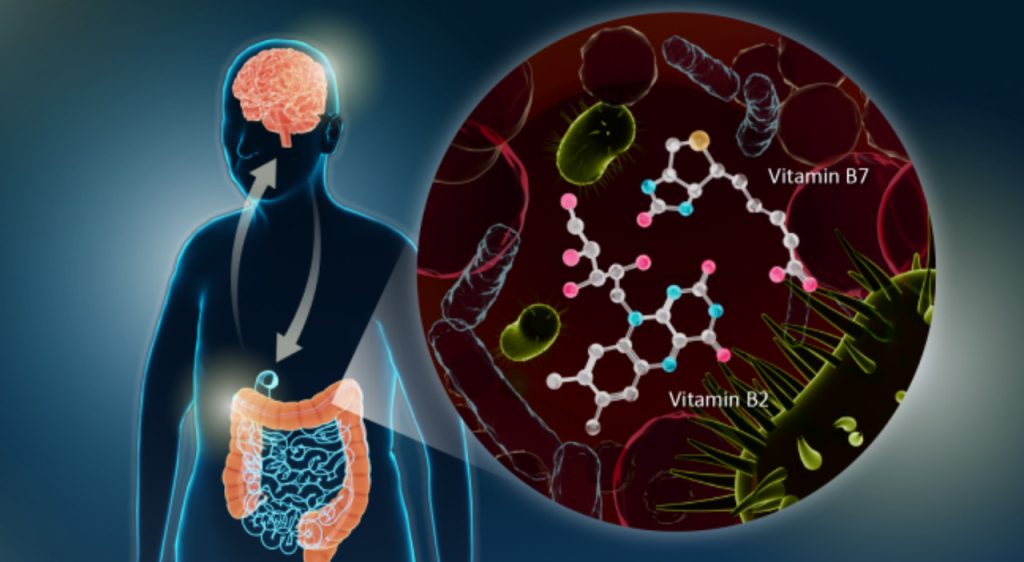 Scoperta: l’intestino influisce nella formazione delle malattie secondo gli scienziati.