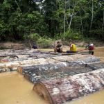 Commissione per i diritti umani: Peru deve proteggere il popolo Kakataibo isolato.