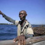 Strategia innovativa per salvare gli squali in Kenya coinvolgendo i pescatori locali.