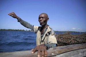 Strategia innovativa per salvare gli squali in Kenya coinvolgendo i pescatori locali.