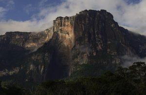 Olive data rivelano come i blocchi petroliferi minacciano le aree protette in Venezuela.