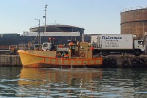 Indagine sulle violazioni dei permessi nella pesca degli squali in Sudafrica.