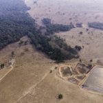 In Brasile, il farming rigenerativo progredisce, ma la deforestazione minaccia gli ecosistemi.