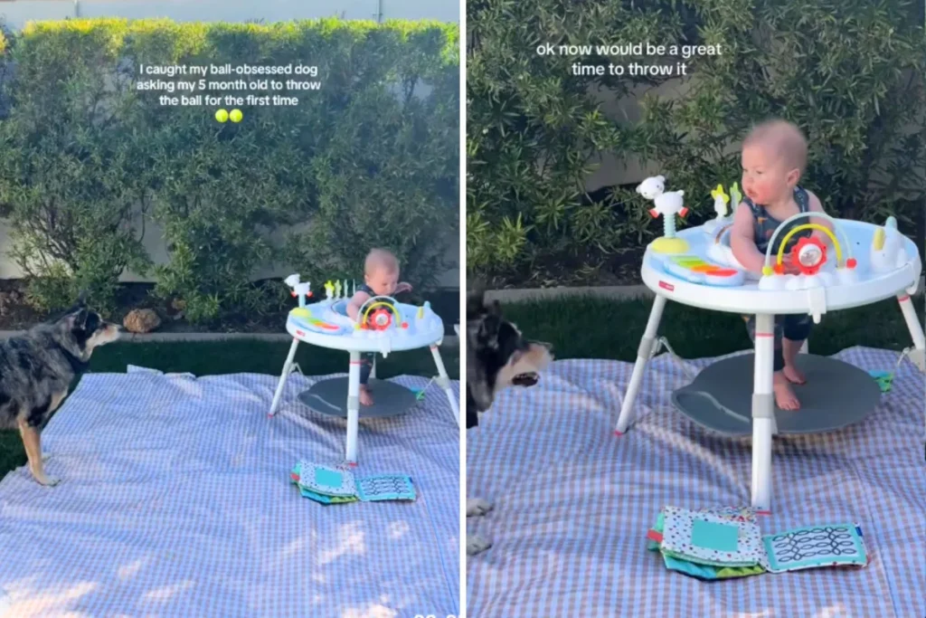 Momento esilarante: neonato di 5 mesi e cane in divertente battaglia per la palla.
