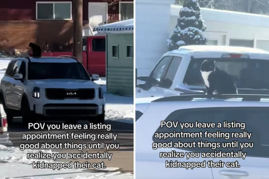 Agente immobiliare lascia una casa in vendita e scopre di aver ‘rapito’ qualcuno per errore.