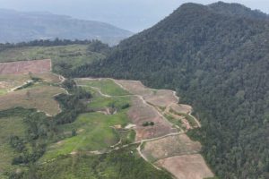 Comunità indonesiane cercano di riconquistare terre dopo revoca dei permessi aziendali.