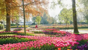 I 10 luoghi più colorati al mondo per un’indimenticabile esperienza di turismo floreale.