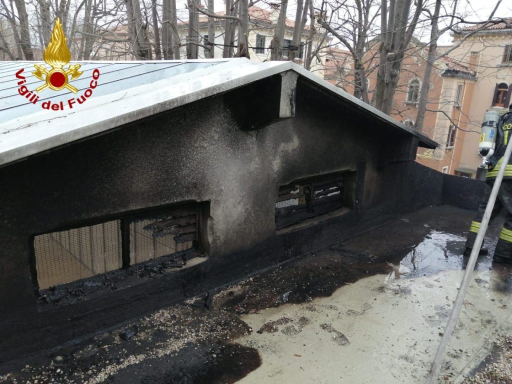 Incendio devasta il tetto di un padiglione alla Biennale di Venezia: dettagli e conseguenze.