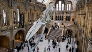 Il museo di Londra conquista il primo posto tra le attrazioni più amate del Regno Unito.