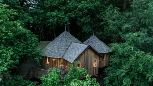Soggiorna in incantevoli case sugli alberi nel Regno Unito e vivi la magia delle fiabe.