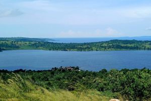 Giornata mondiale dell’acqua: nuove specie scoperte, ma le minacce aumentano per le risorse fresche.